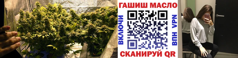 ТГК вейп дарнет шоп Ярцево